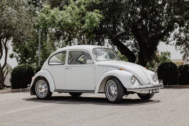 Beetle