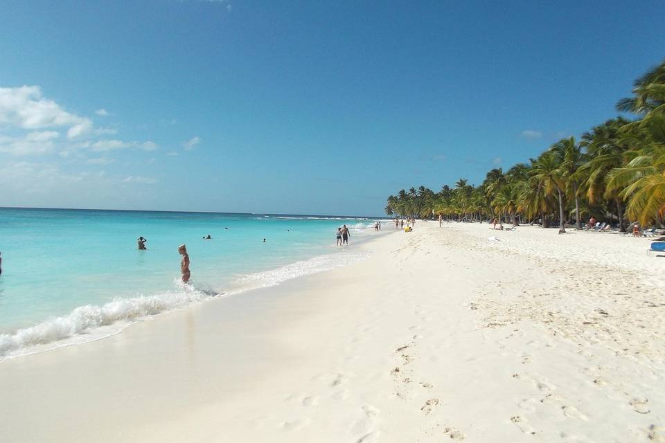 Saona