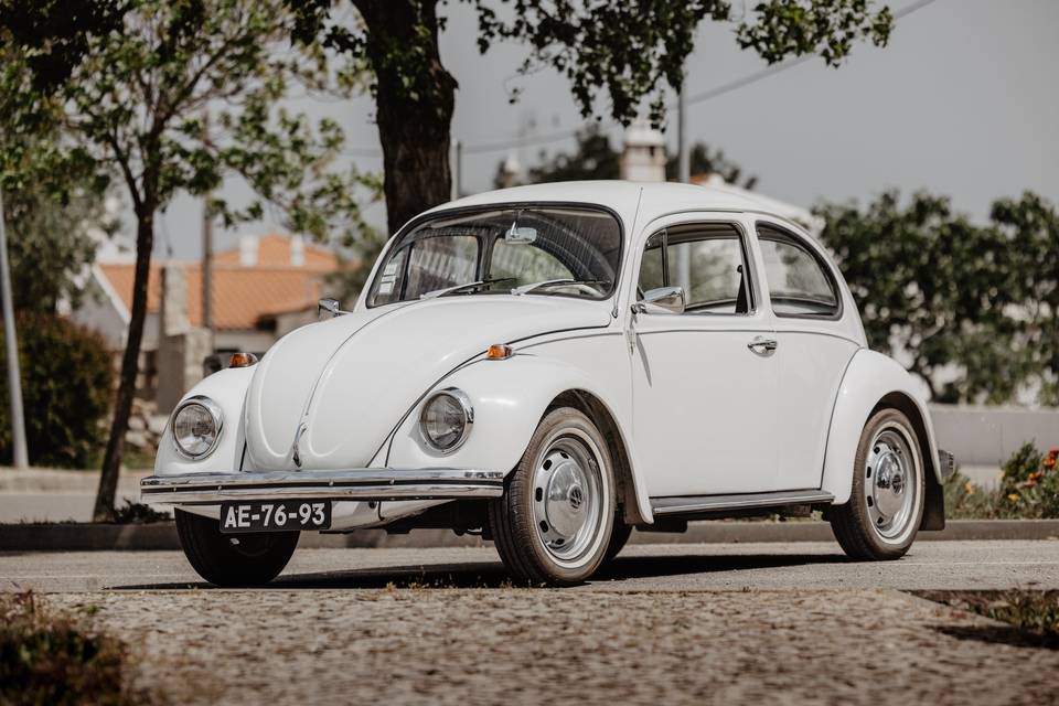 Beetle