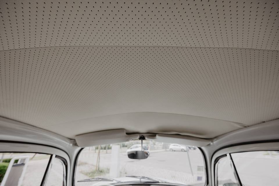 Beetle