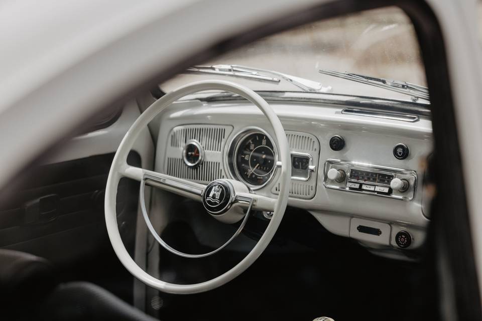 Beetle