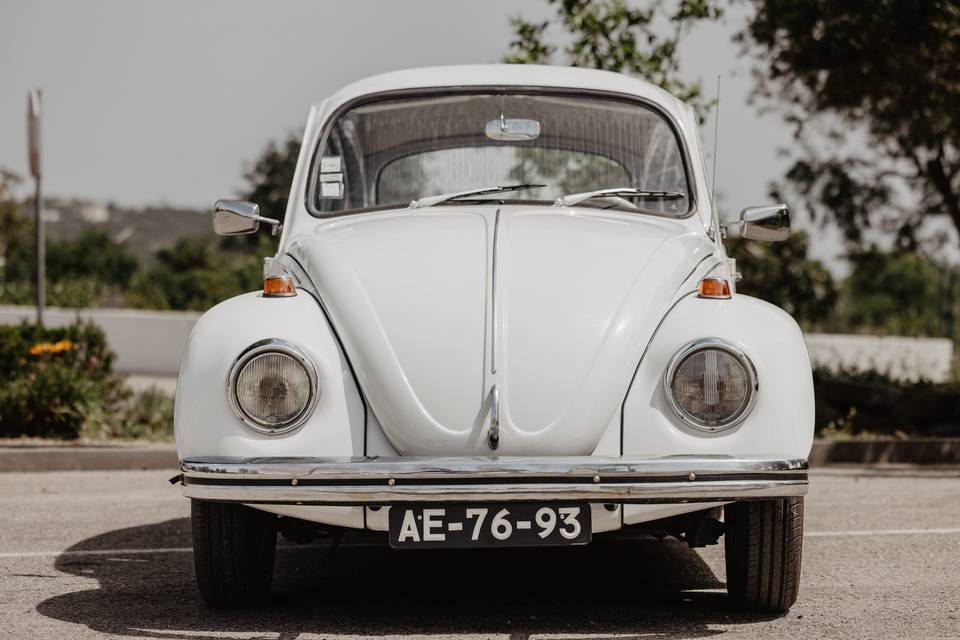 Beetle