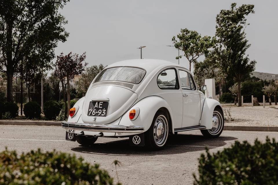 Beetle