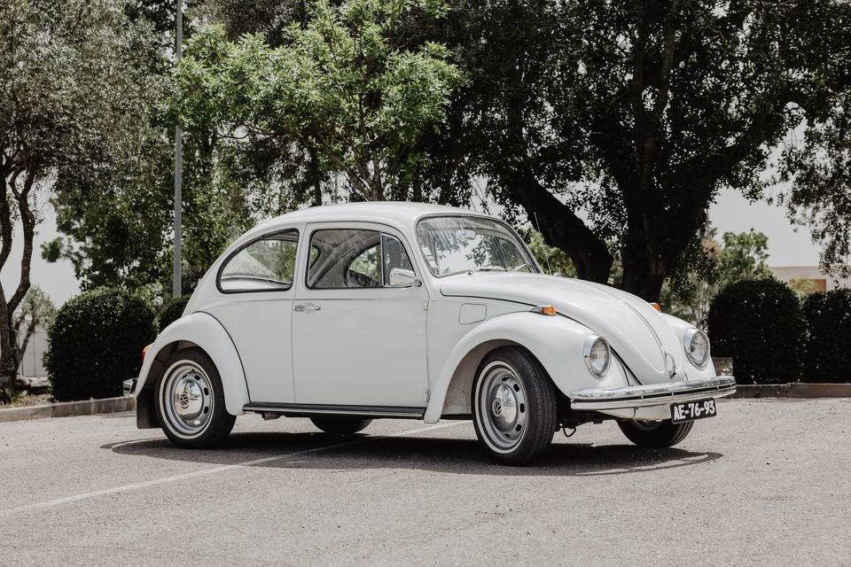 Beetle
