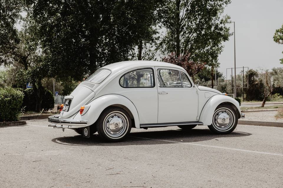 Beetle