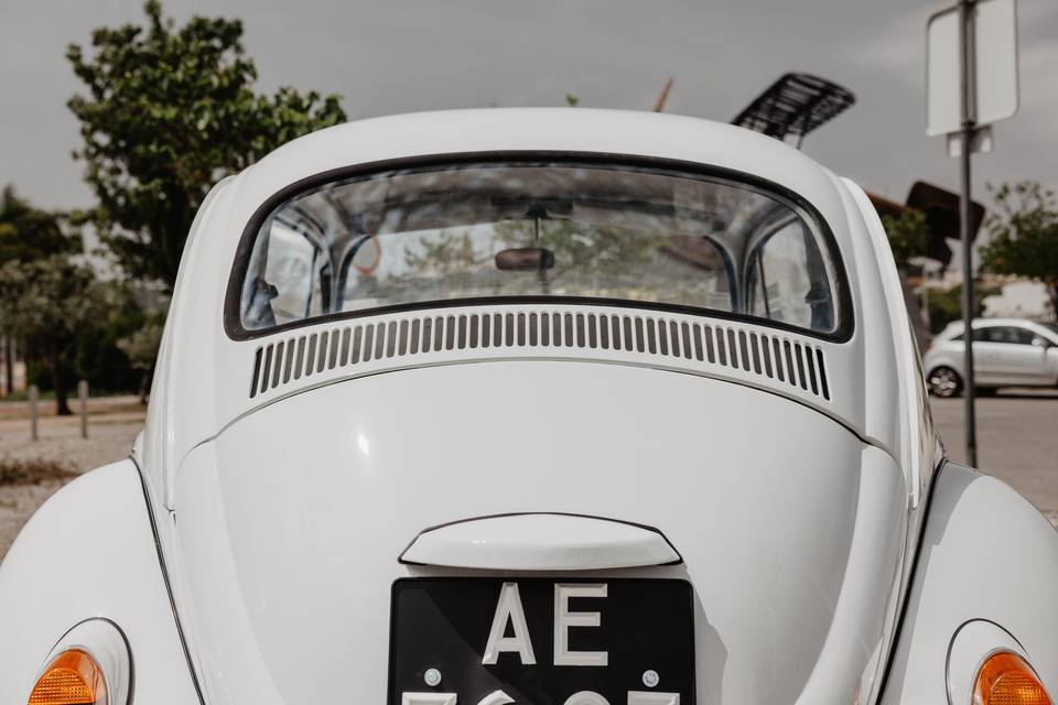 Beetle