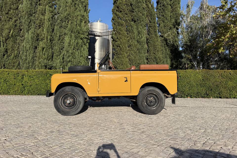 Alguer de classicos casamentos