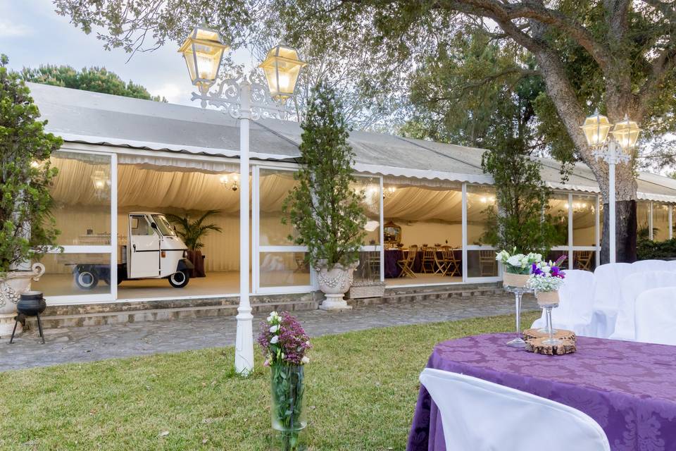 Mestre D'eventos