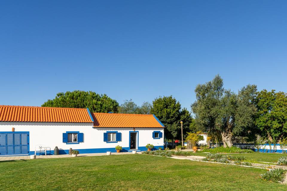 Casa do soba, oliveira