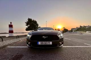 Drive Your Mustang