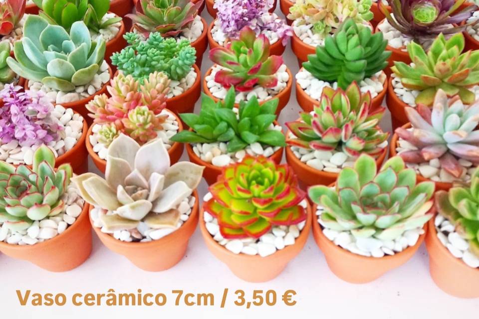 Lembranças em vasinhos de barr