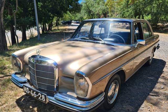 Golden Mercedes