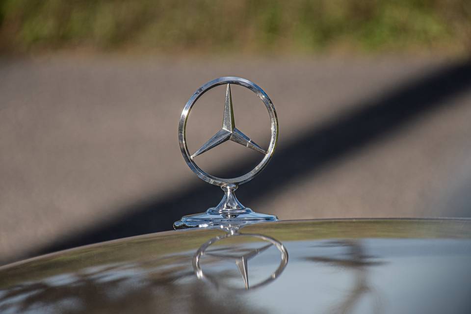 Estrela