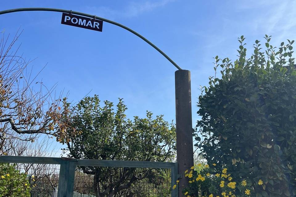 Pomar
