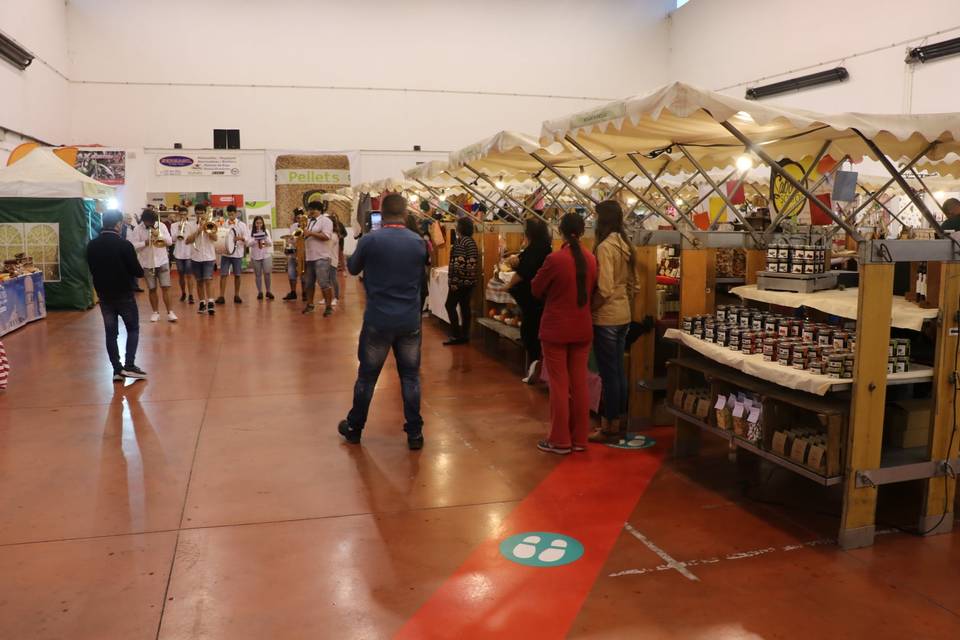 Feira de Santa Iria