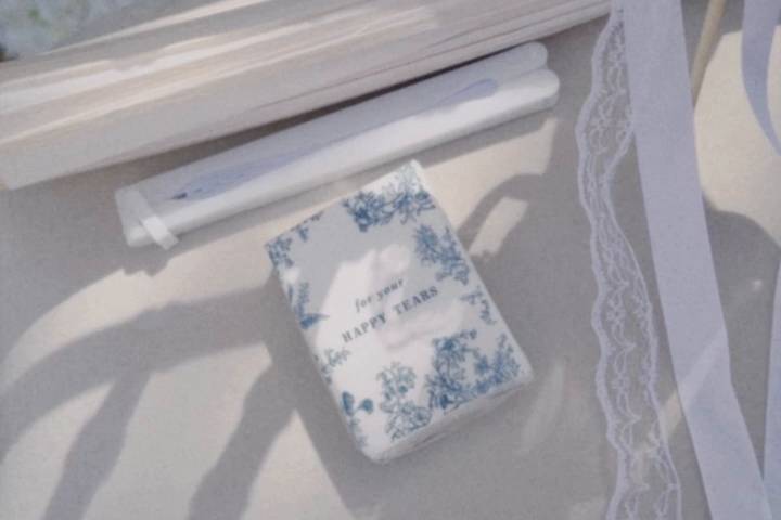 Pormenores azul e branco