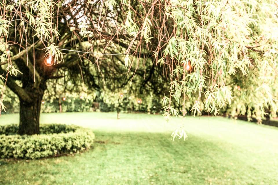 Exterior jardim