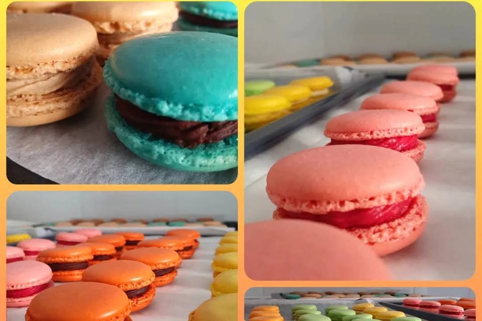 Macarons diversos sabores