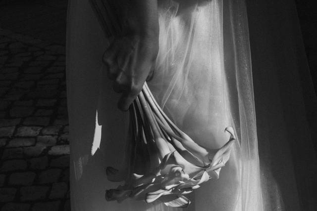 Softly Wild