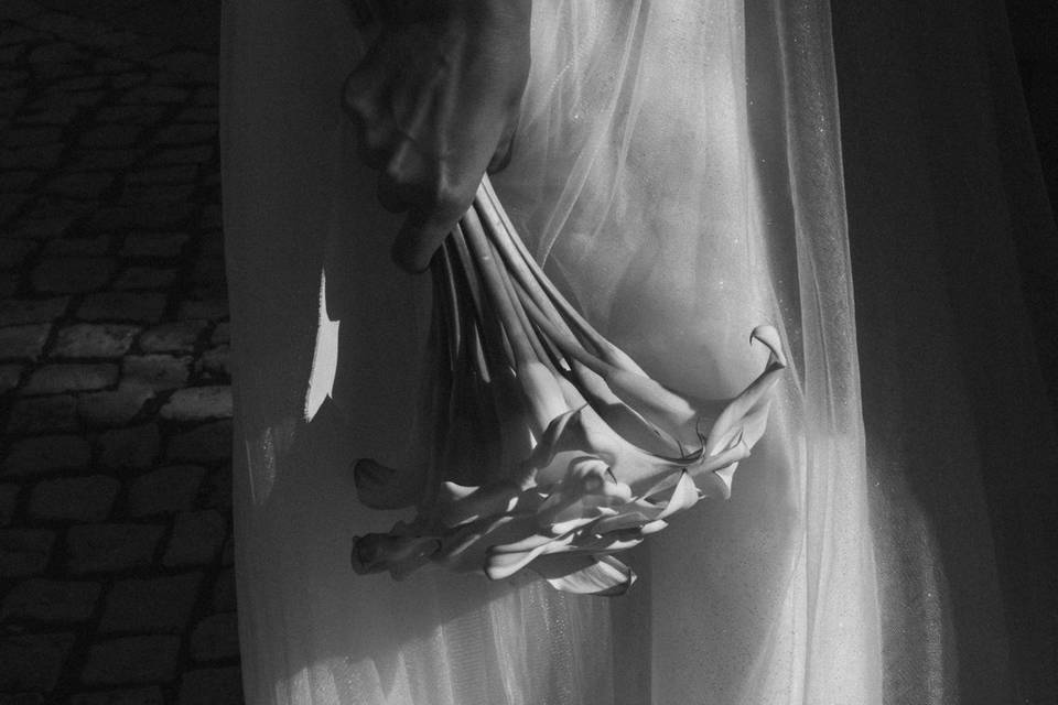 Softly Wild