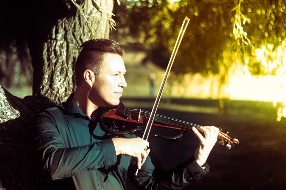 Violin by Oliver