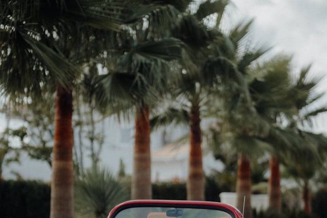 VW cabrio
