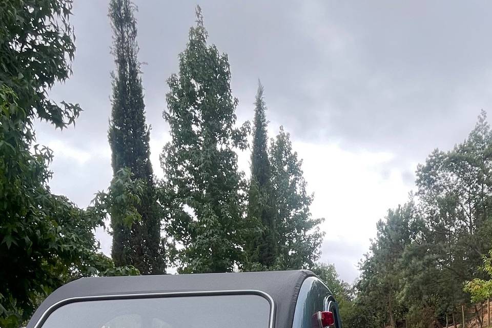 Citroen 2 cv descapotável