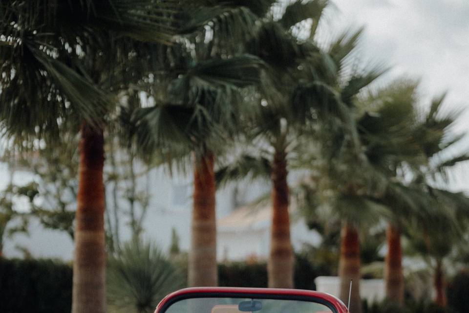 VW cabrio