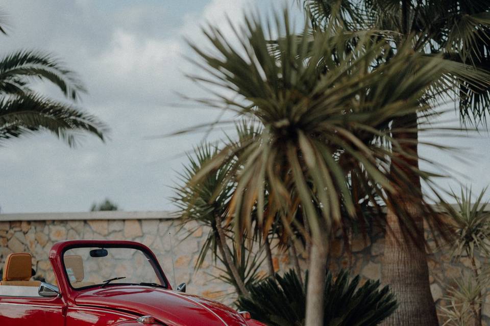 VW cabrio
