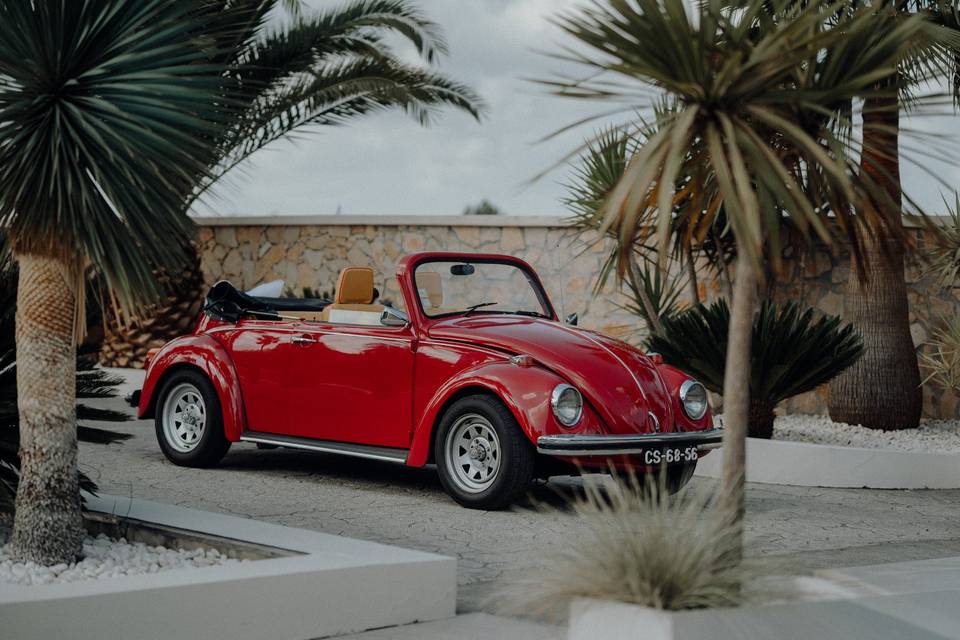 VW cabrio