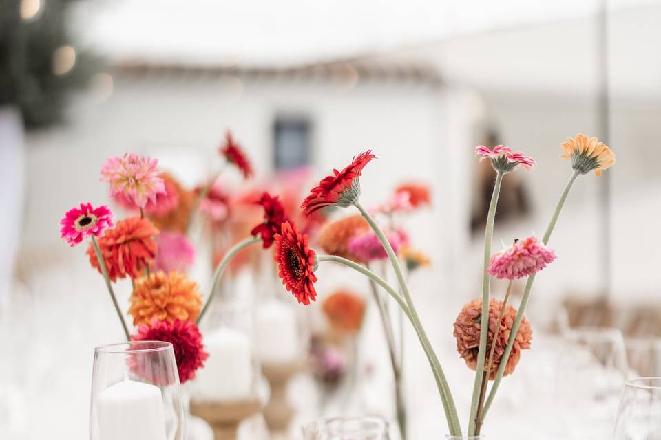 Decor