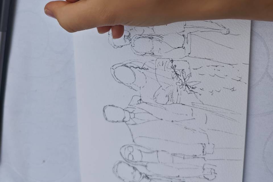 Contorno