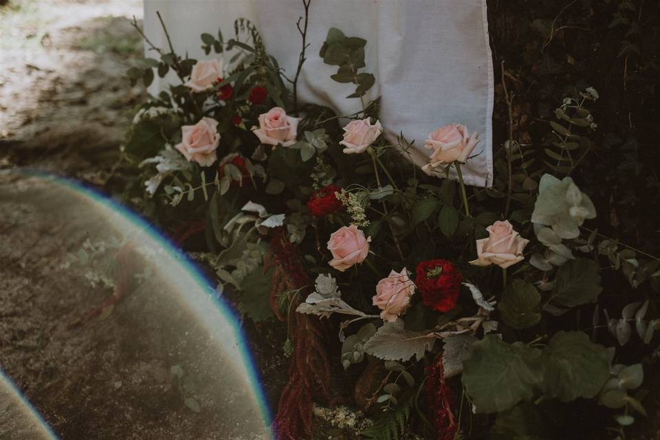 Flores