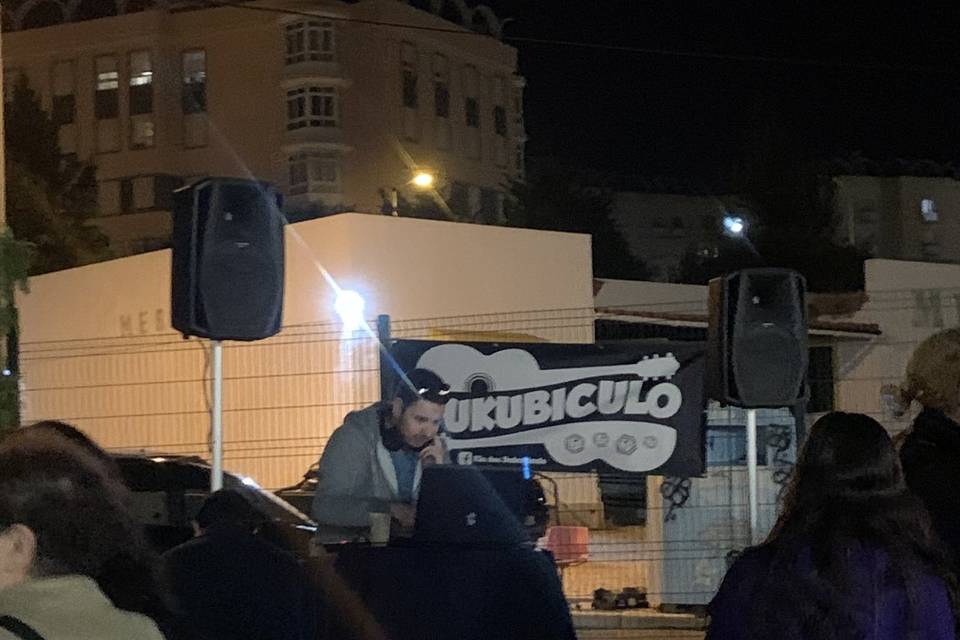 Festa