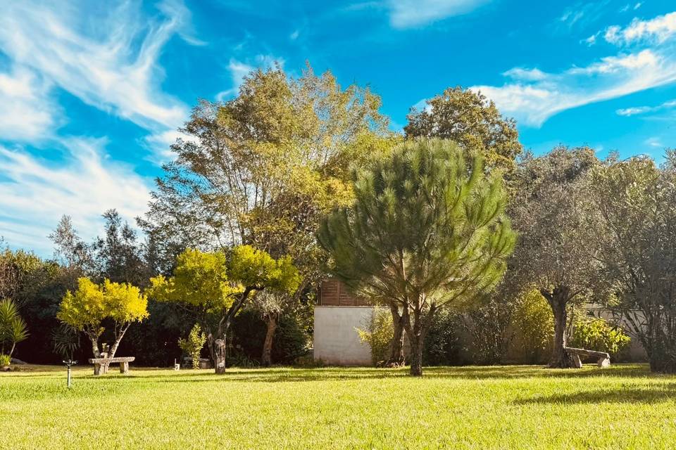 Jardim