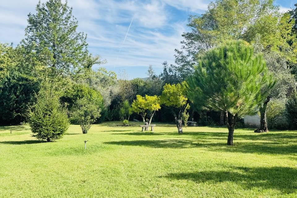 Jardim