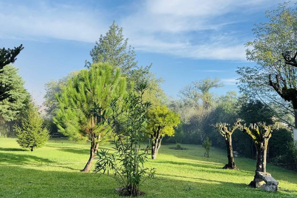 Jardim