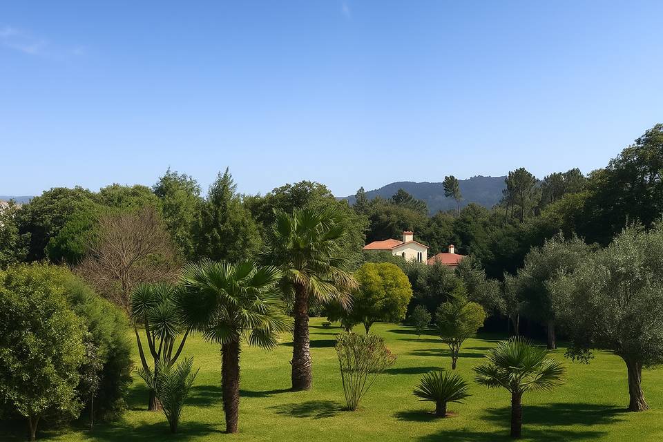 Jardim