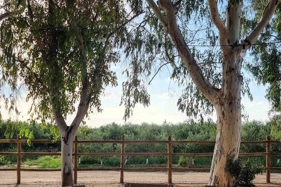 Herdade do Lobo