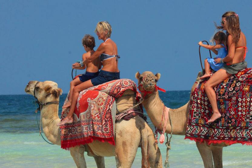 Djerba - passeio a camelo