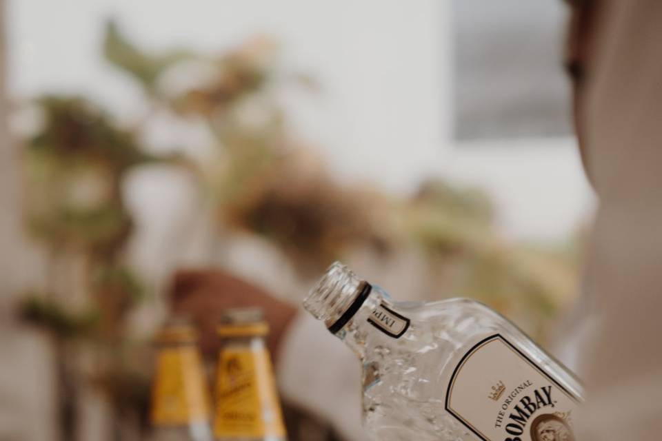 Bebidas