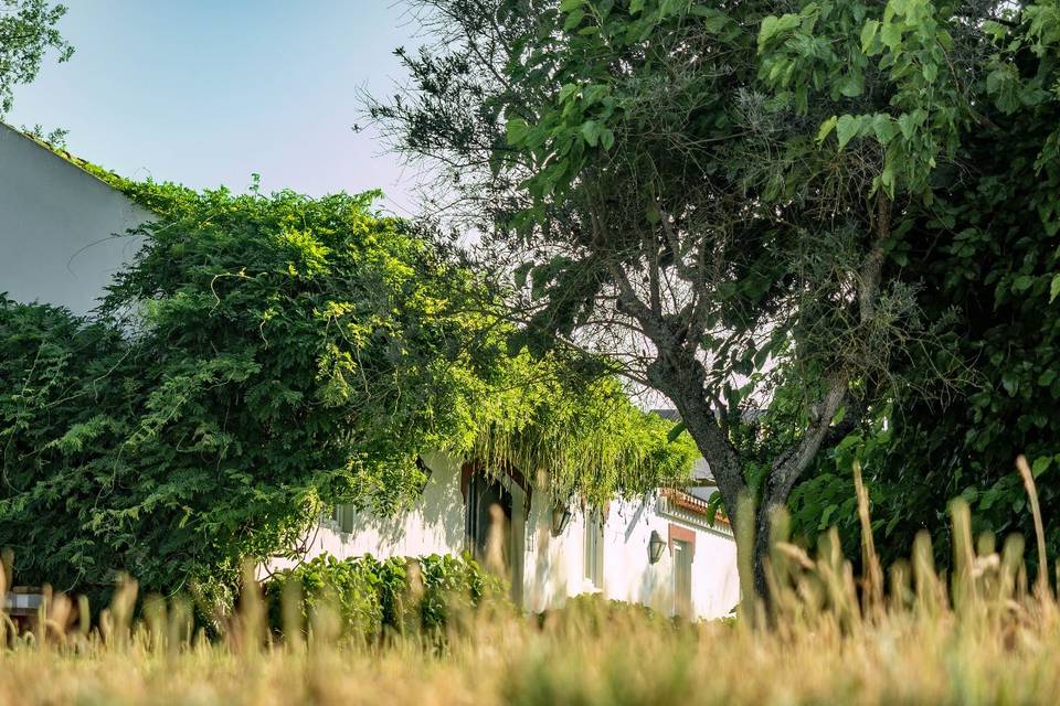 Casa.