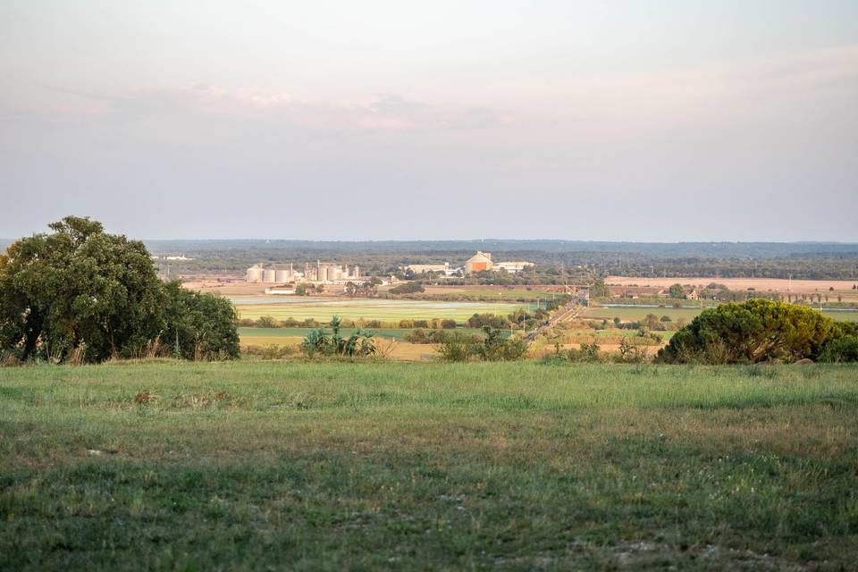 Vista