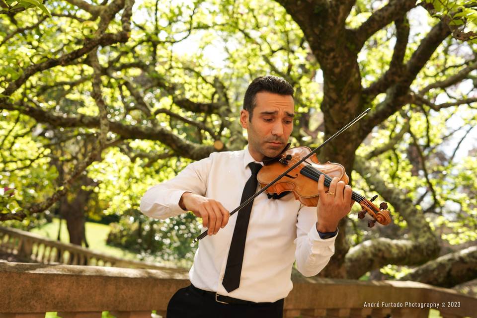Vítor Sousa - Violino Solo