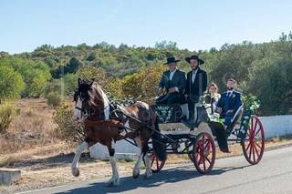 Passeios de Charrete Barbosa