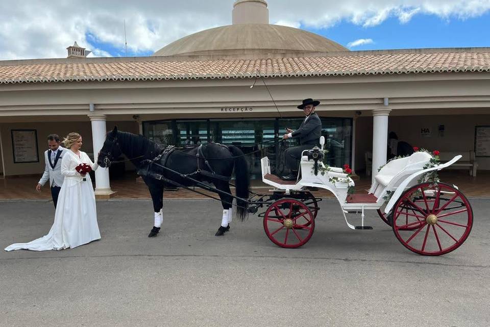 Transporte noivos