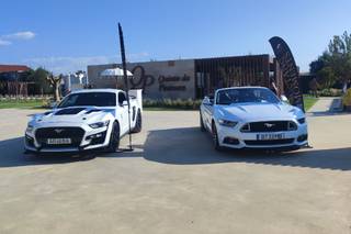 Mustang Moments