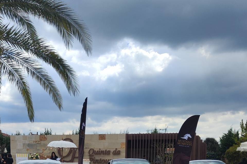 Frota Mustang