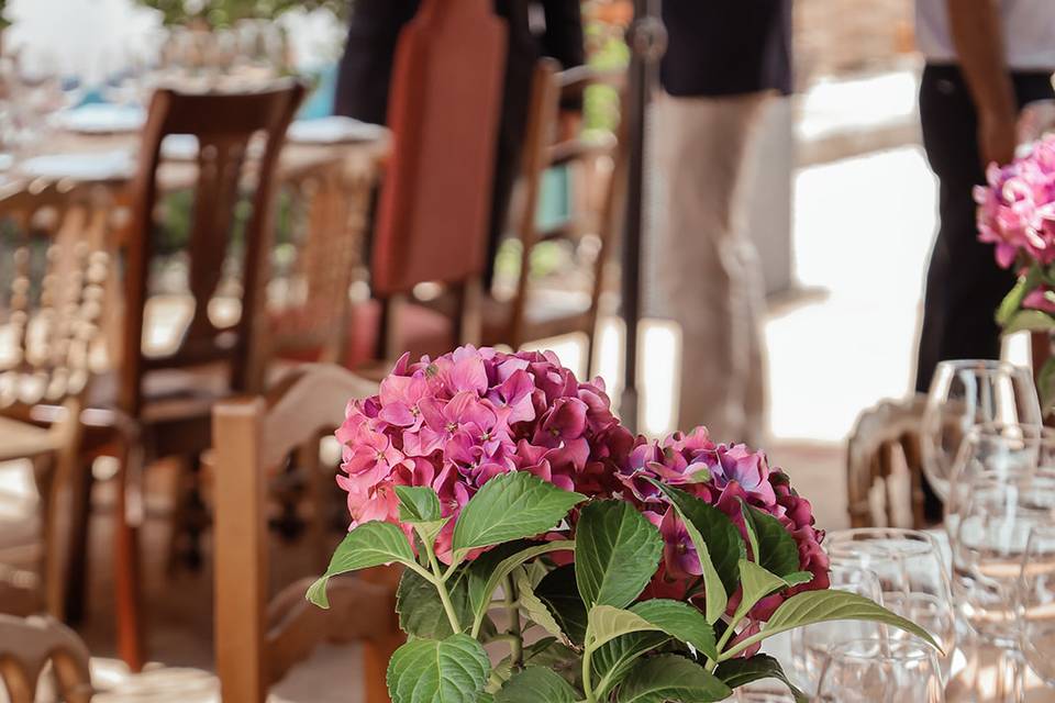 Quinta Bolota - Interior