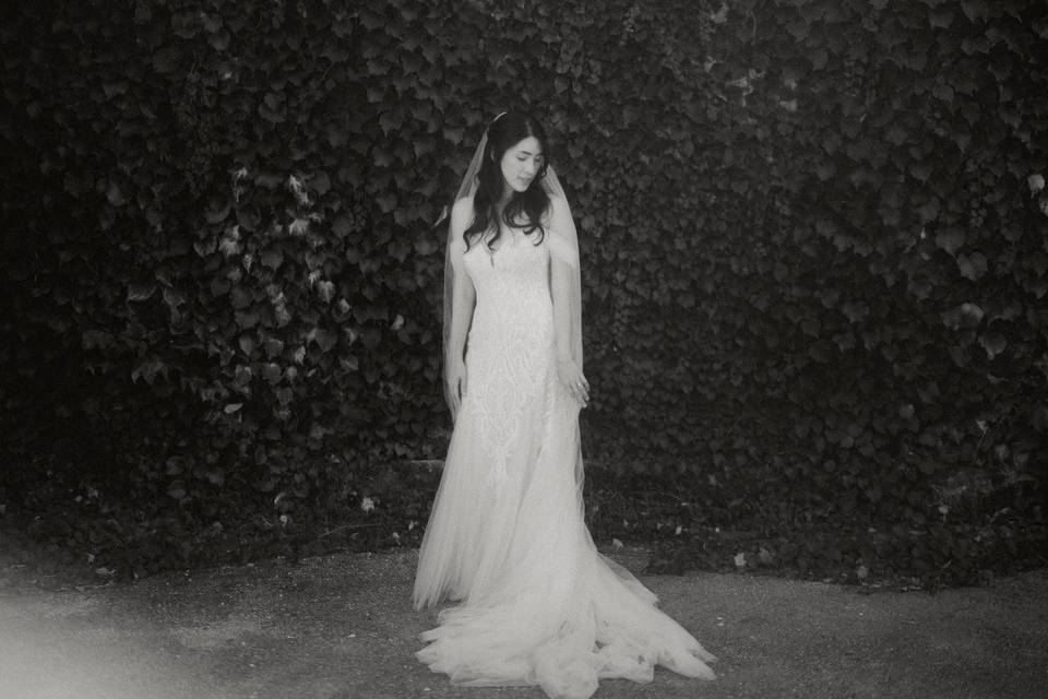 Manuel Oliveira Fotografia